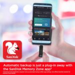 SanDisk 256GB Type-C Flash Drive