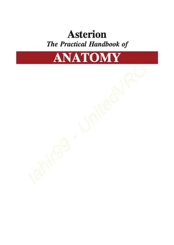 Asterion anatomy (Visit Libtoon.com)